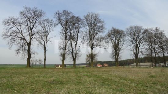 Działka budowlana na sprzedaż Sumowo
